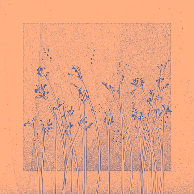 string_pllu #23