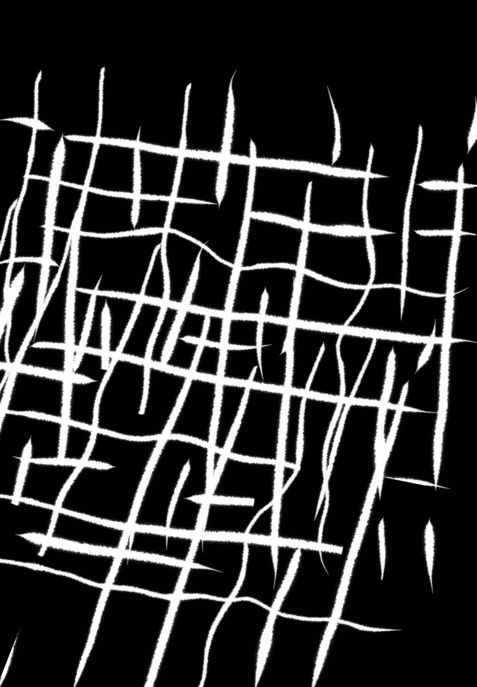 black and white collection: abstract black and white #005