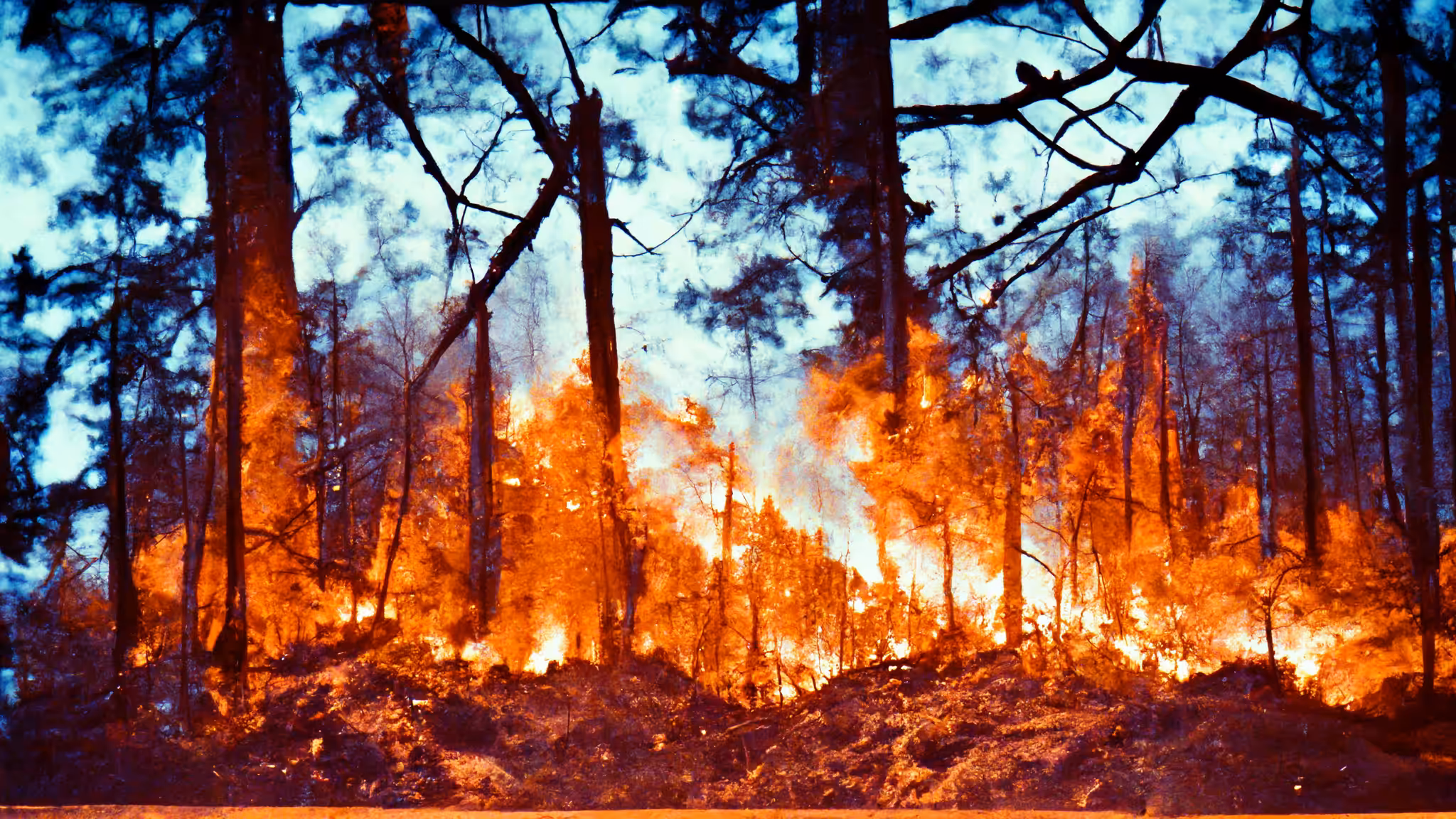 FAKE FOREST FIRE