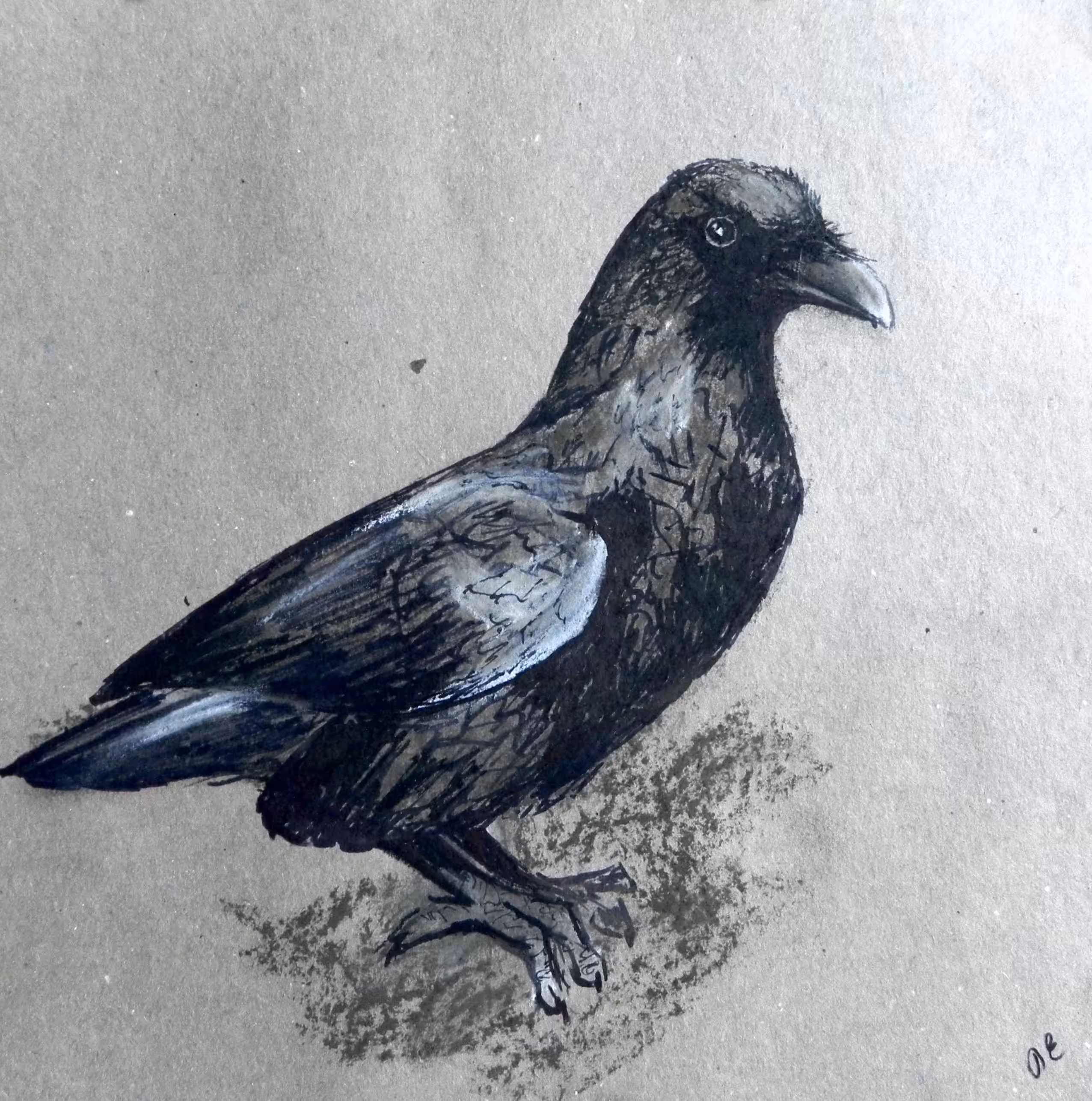 Crow