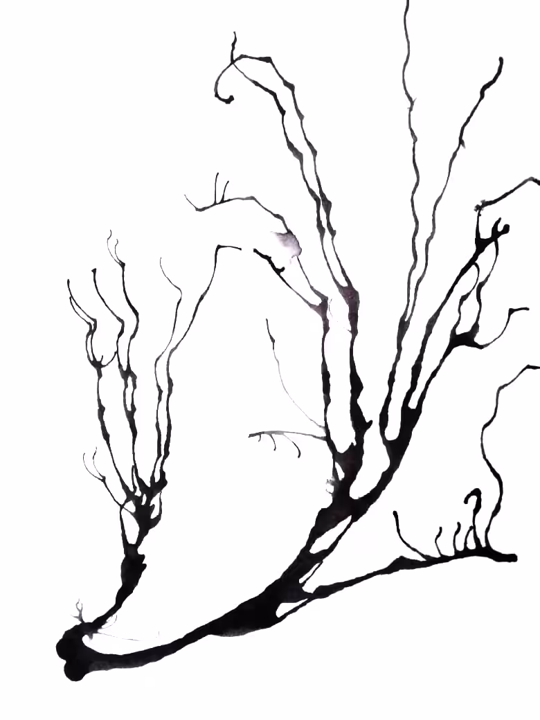 Dark Trails #6