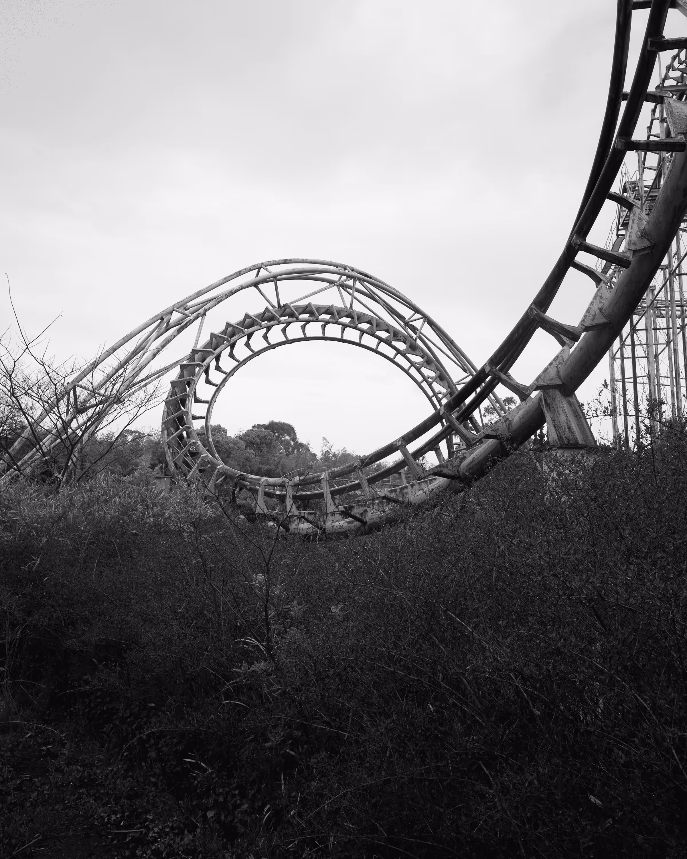 Dreamland #26