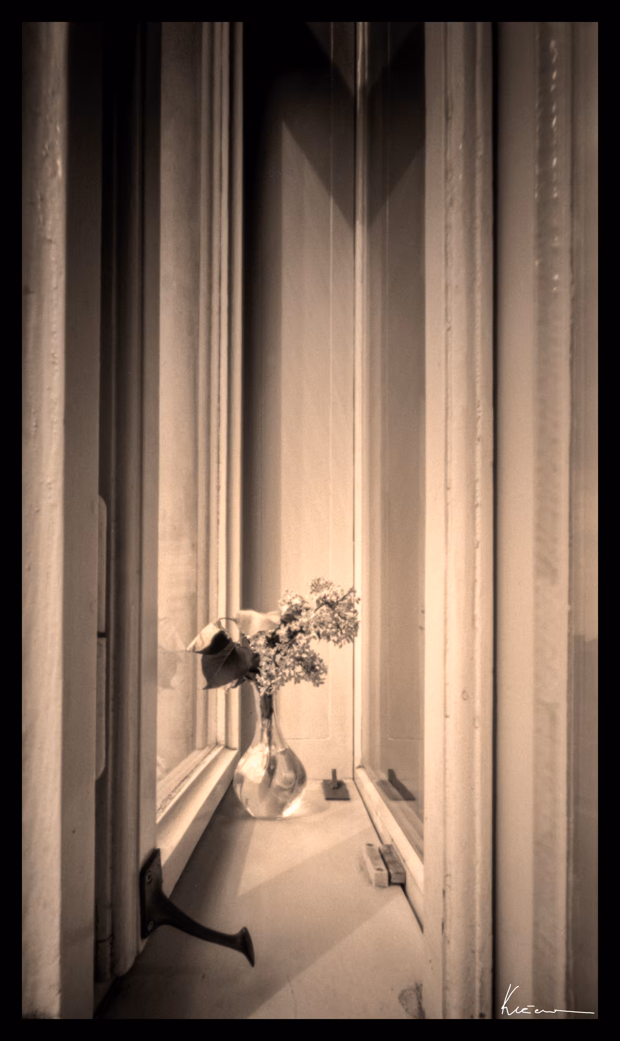  Lilac in the Window