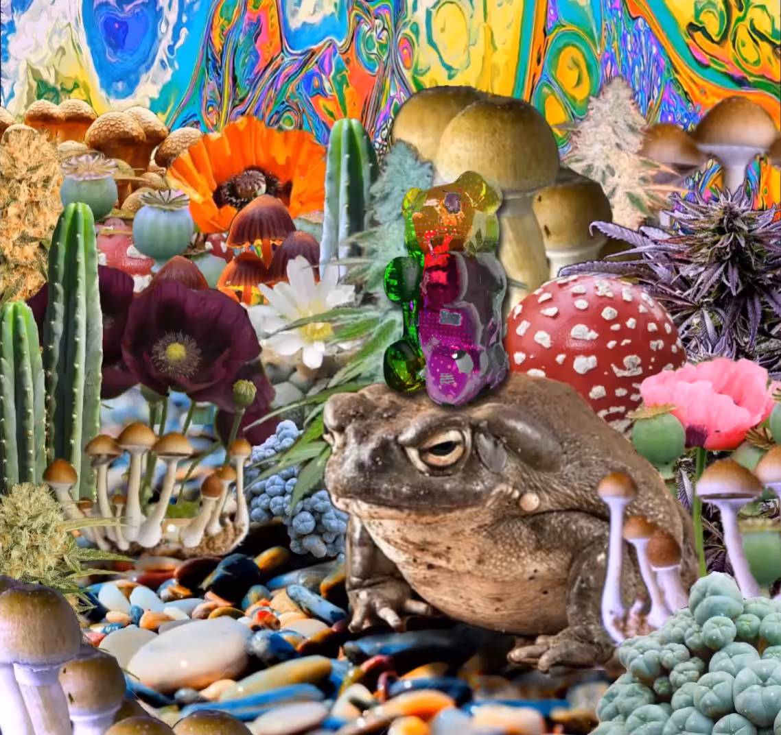 LSD Gummy Bear takes a Trip through Psychedelia