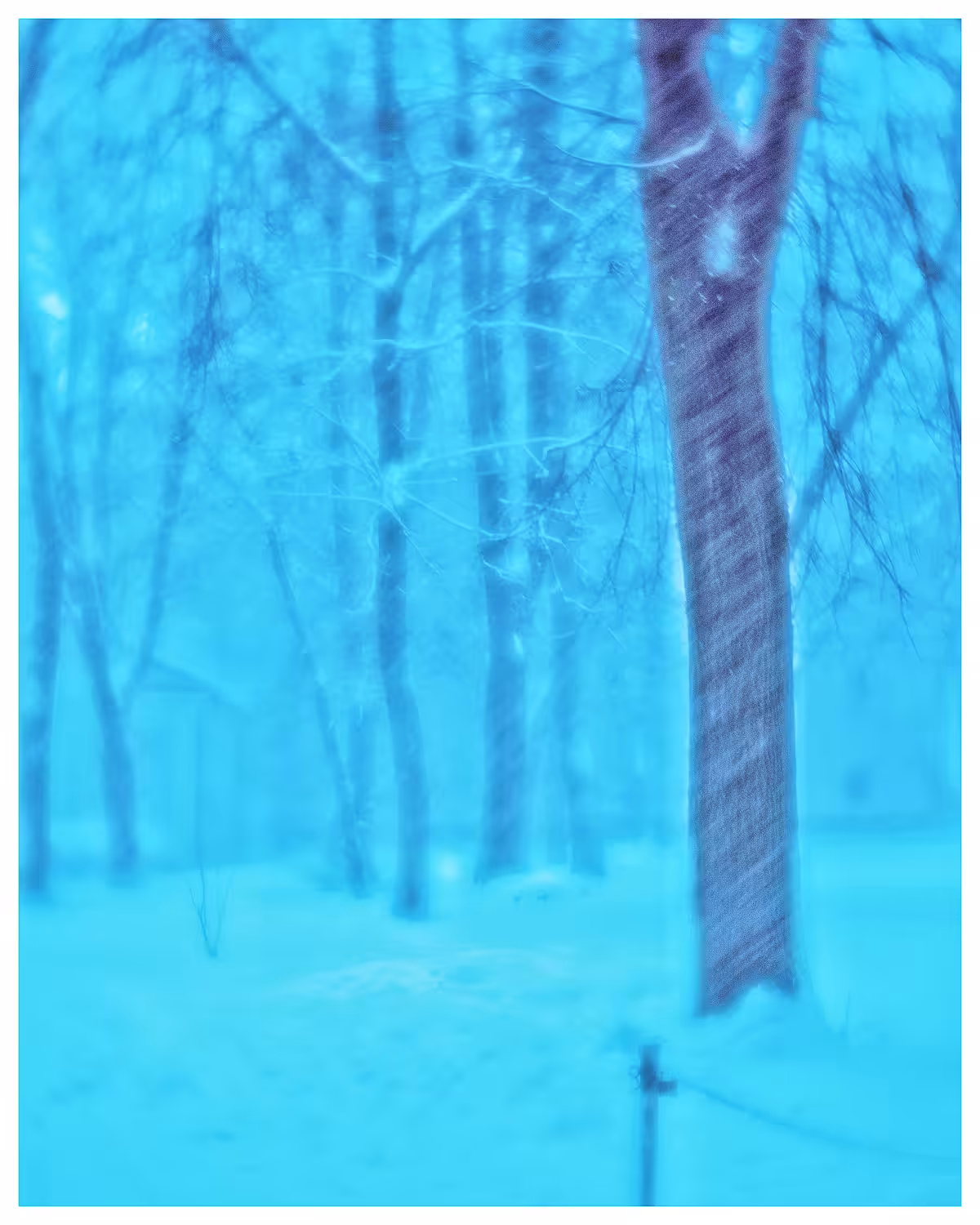 And it's snowing...