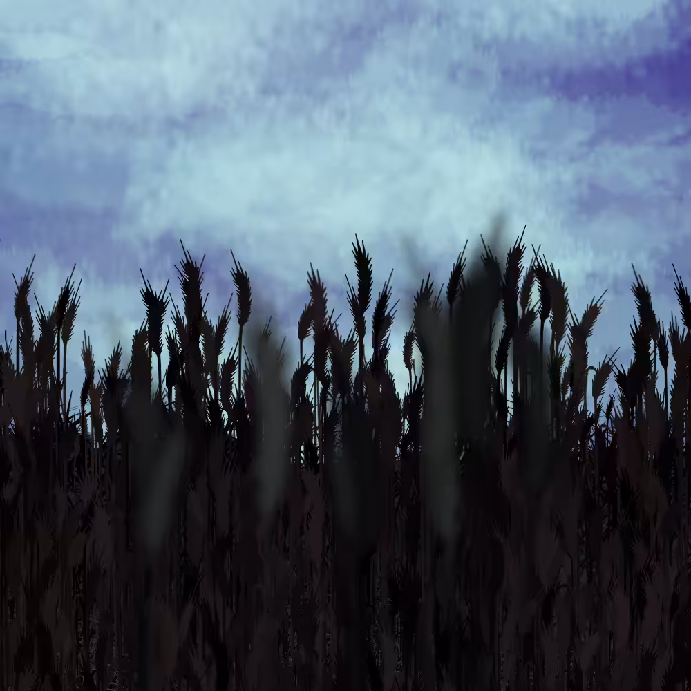 Walk in the field #33