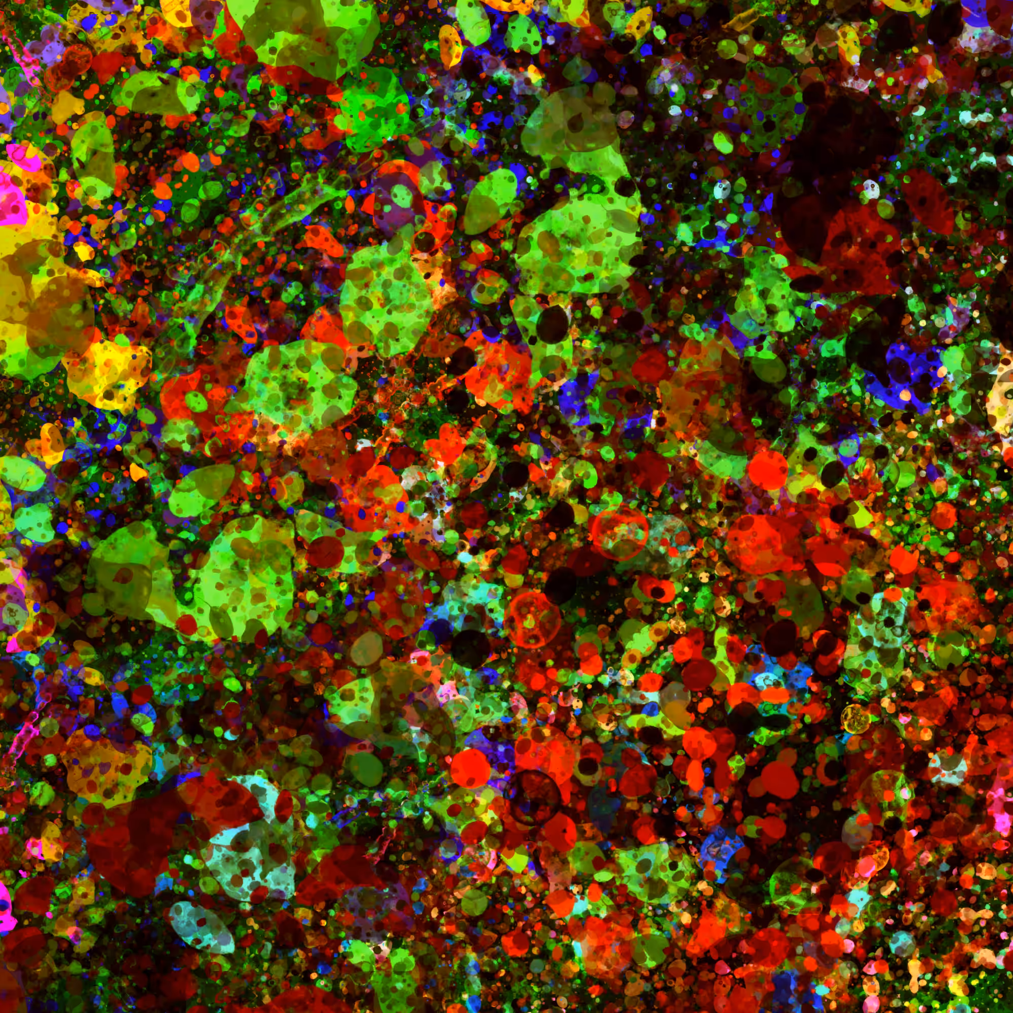 1.12 Dragon Dance