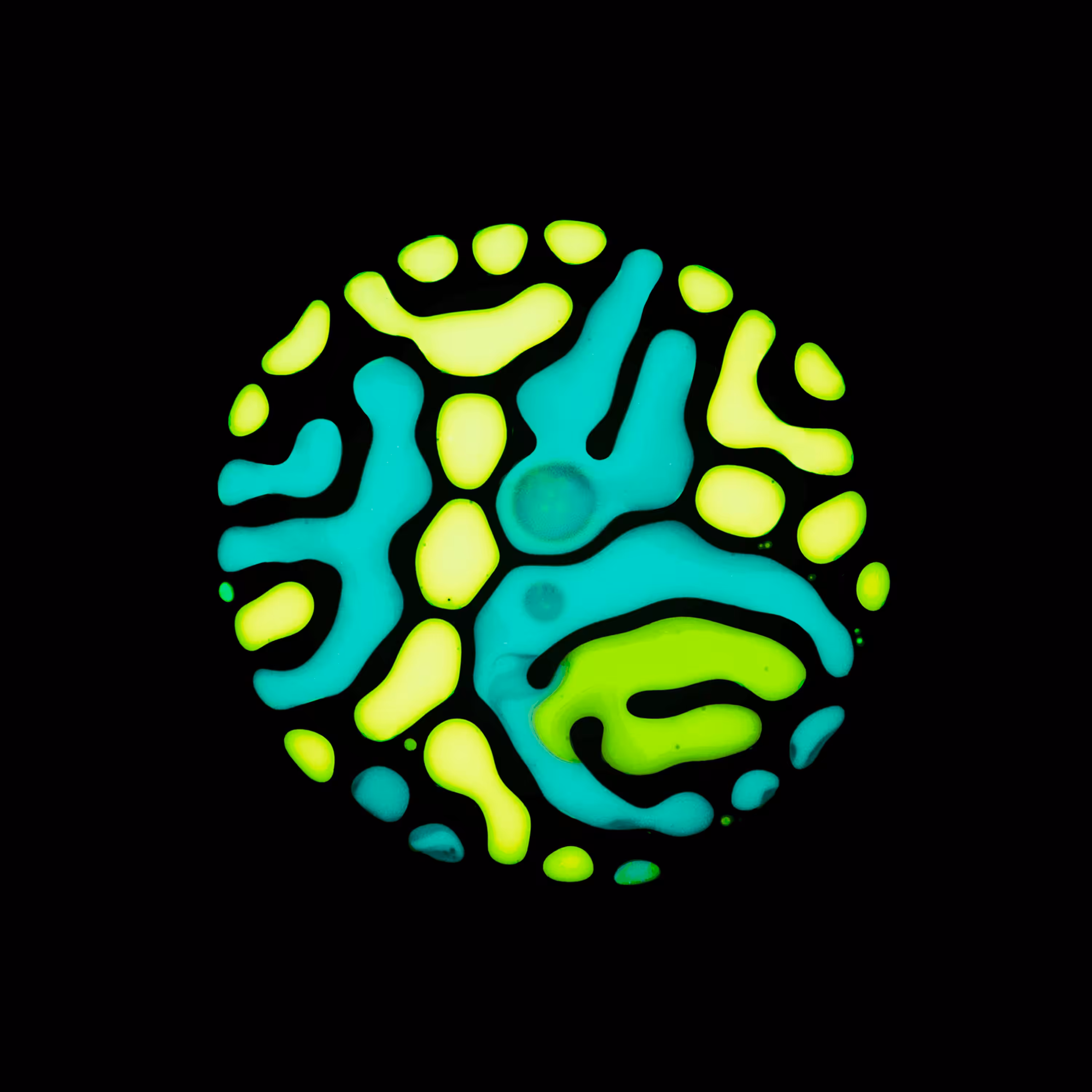 Haematopoiesis #178