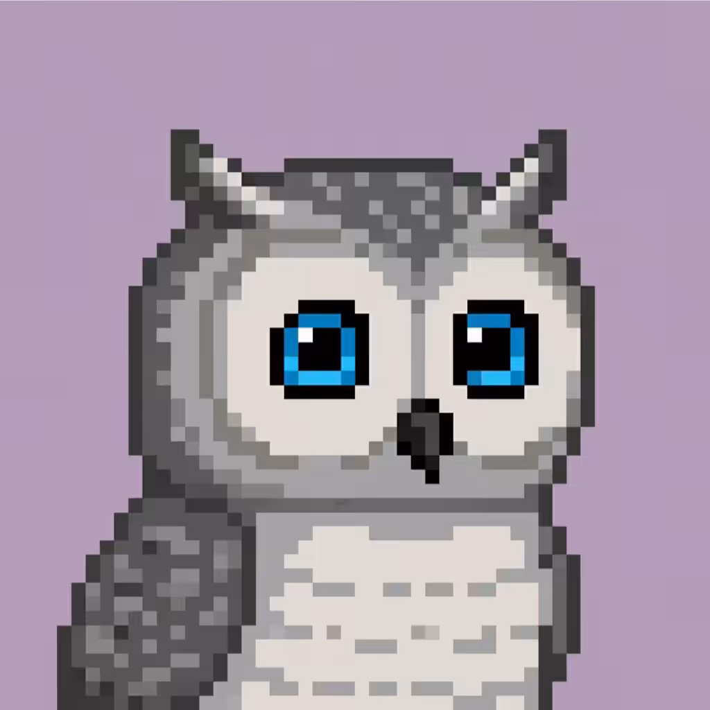Hoot #3