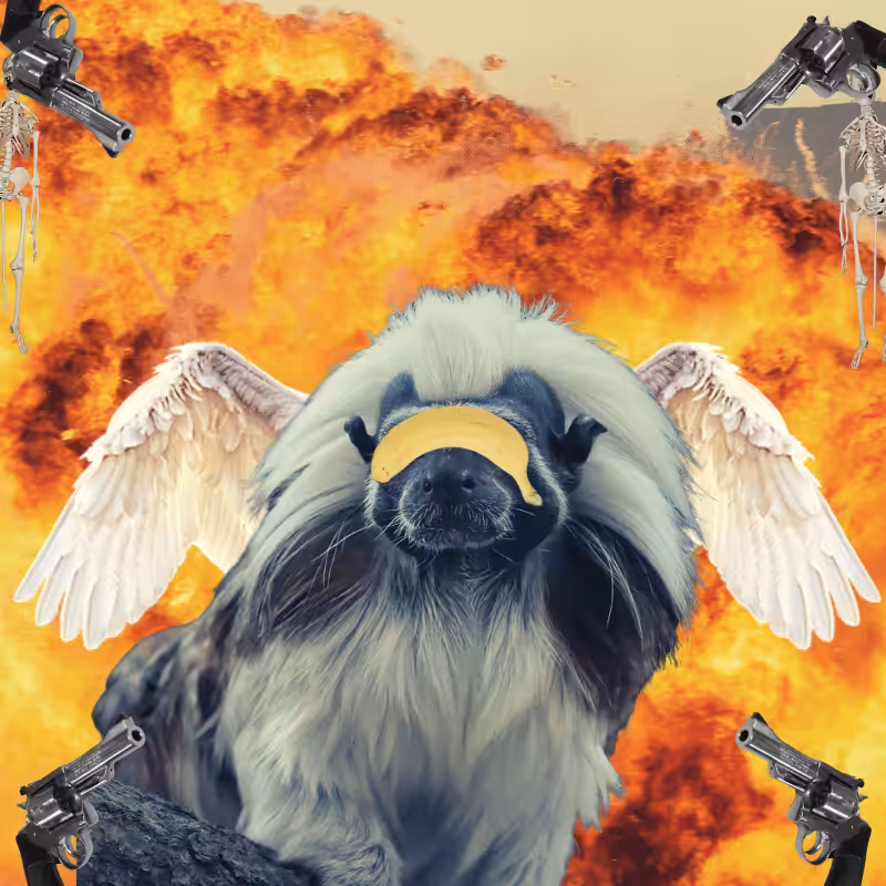 Blinded apes #33