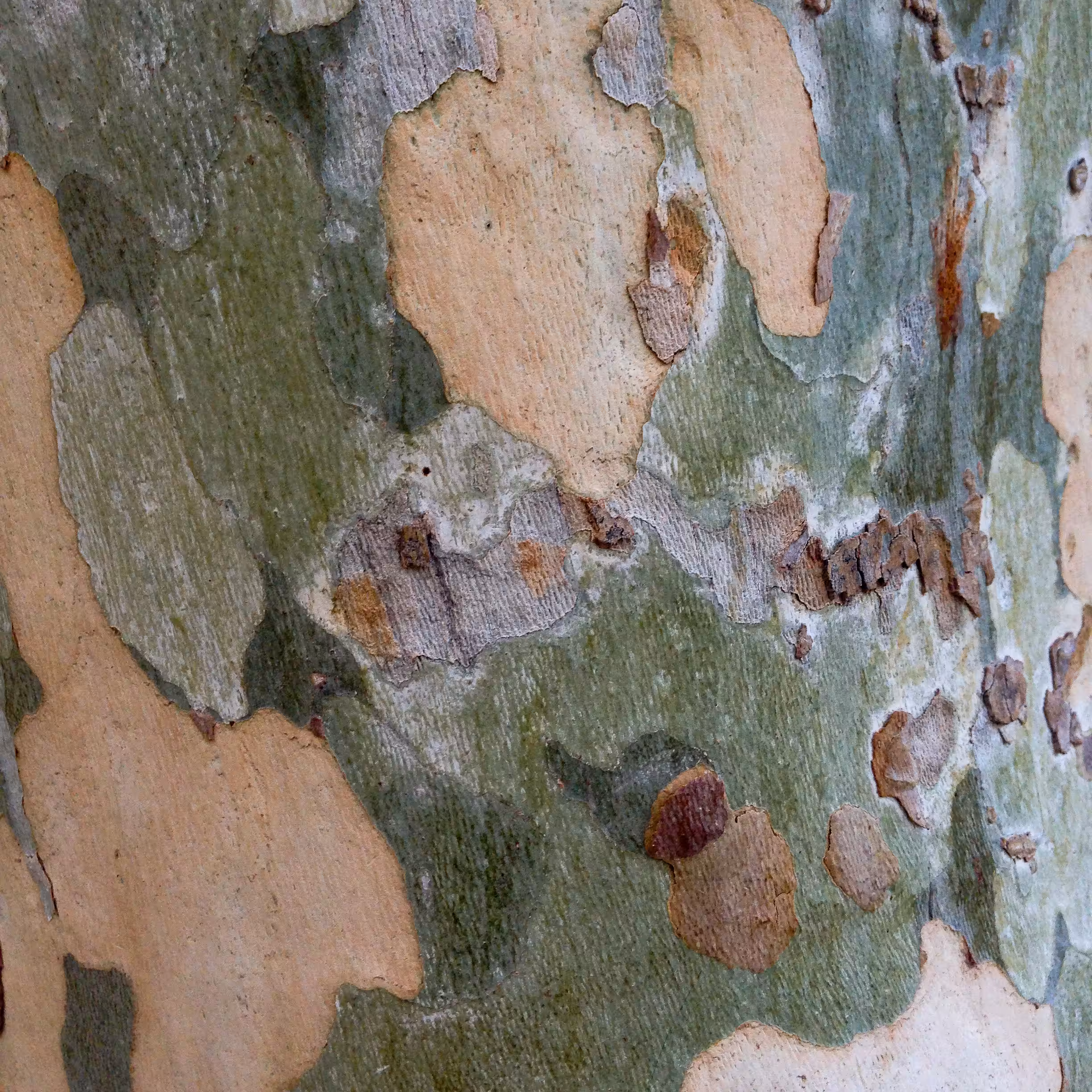 Textures #15