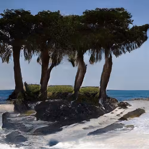 Island #23 [Rare 4 Tree Sand Island]