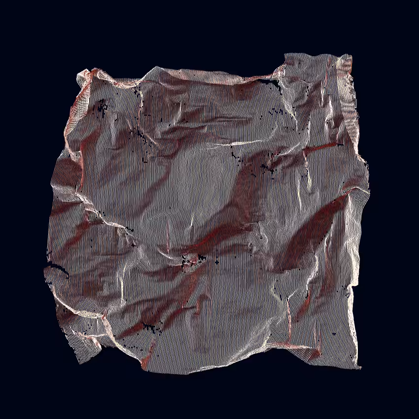 Fibril #262