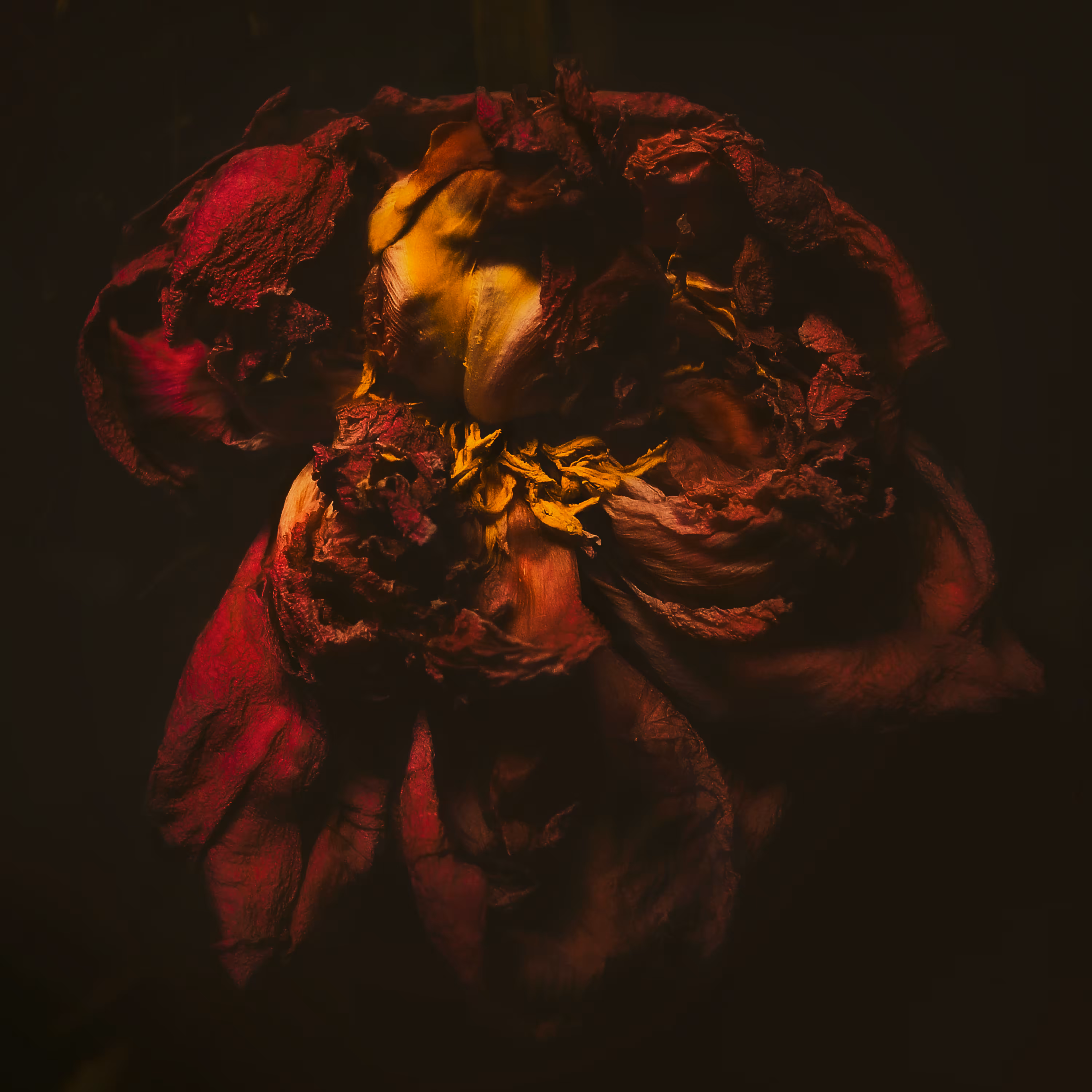 AGAMEMNON