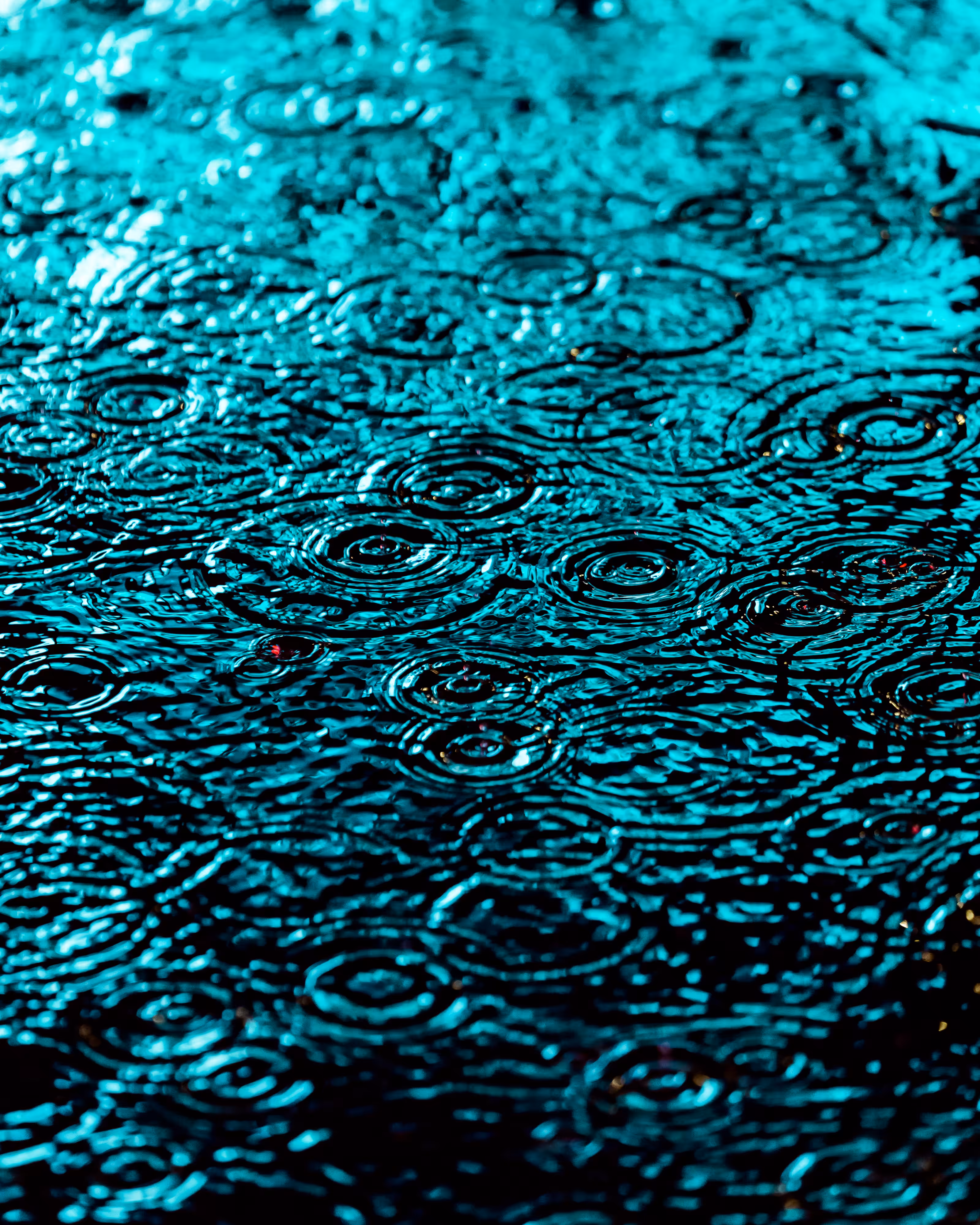 DRIP DROP: DRIP #967