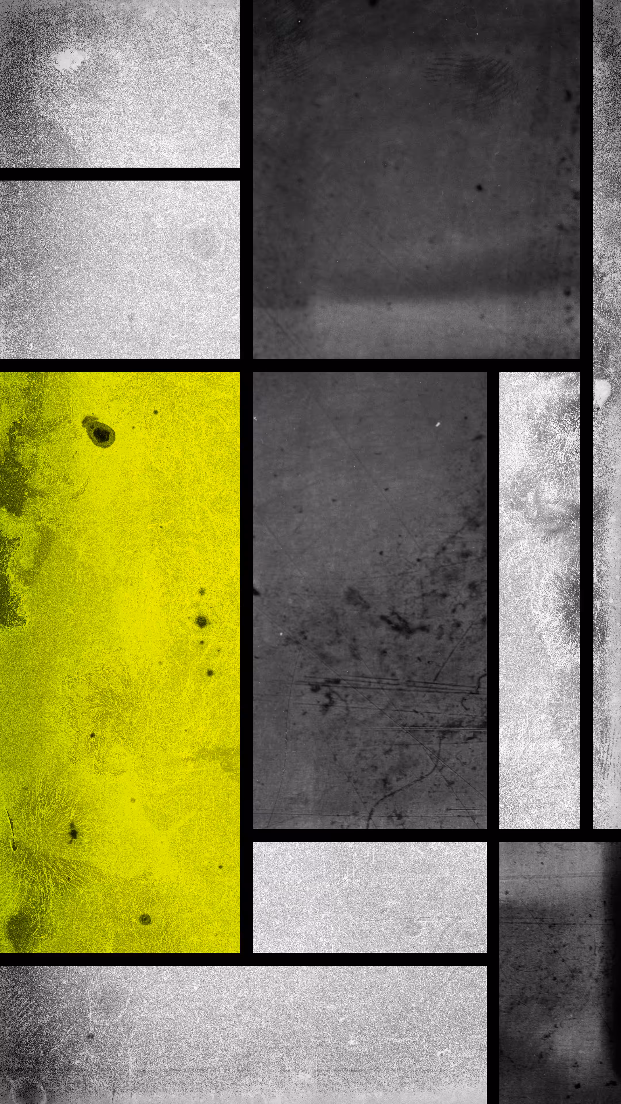 Mondrian #030