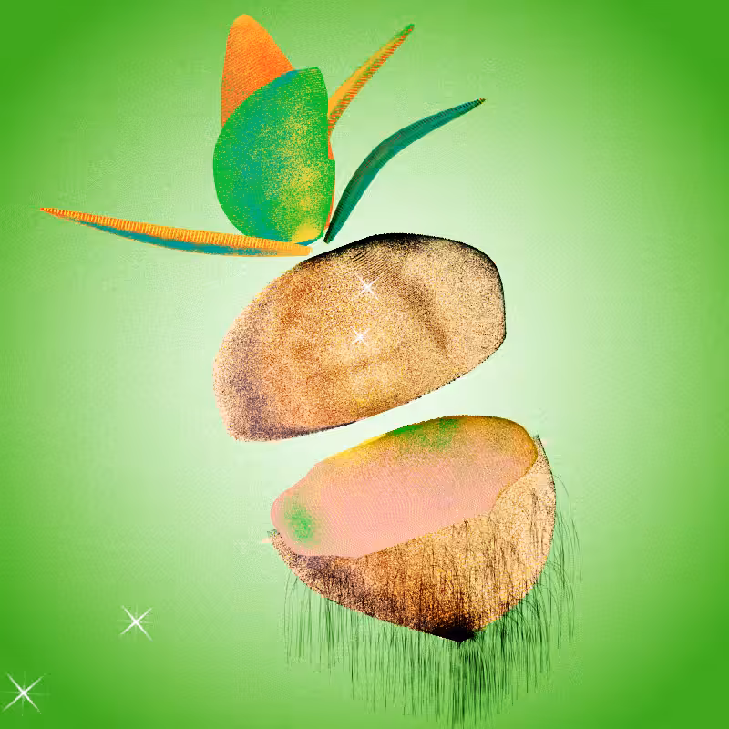 Fresh Fruit #17