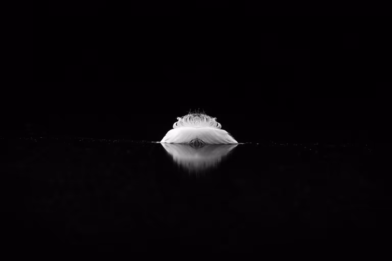Ciò che resta II — Traccia