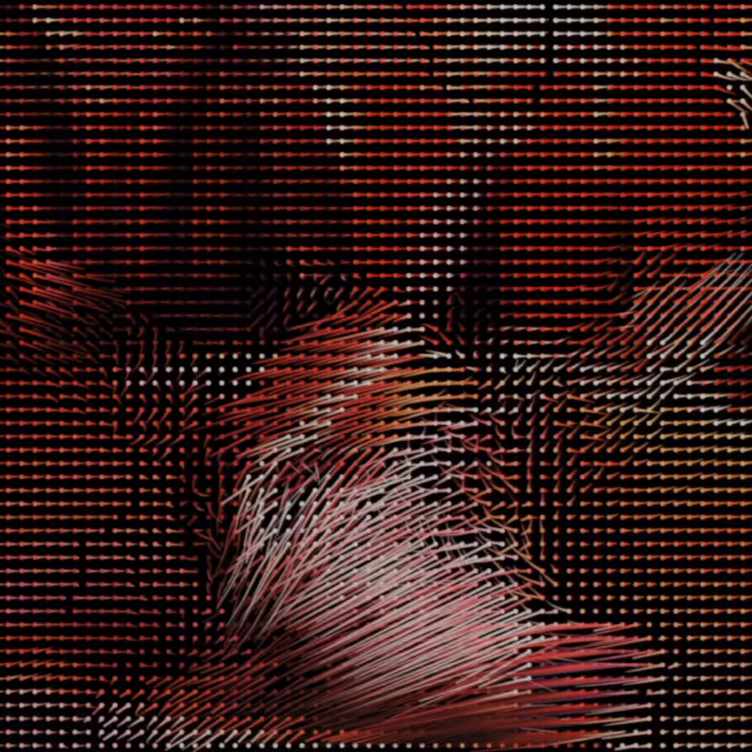 hidden between two frames - #2