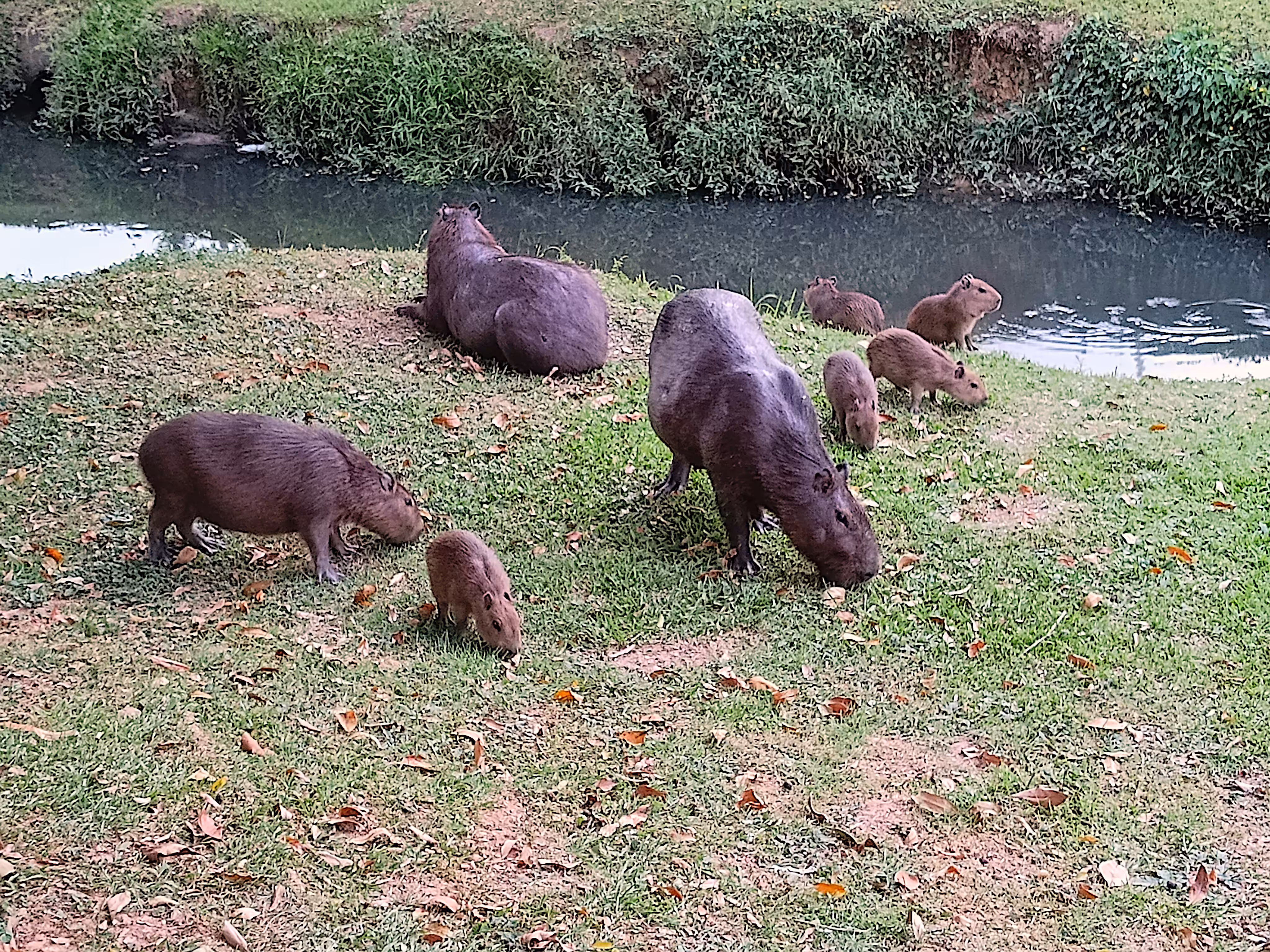 Hanging out with family