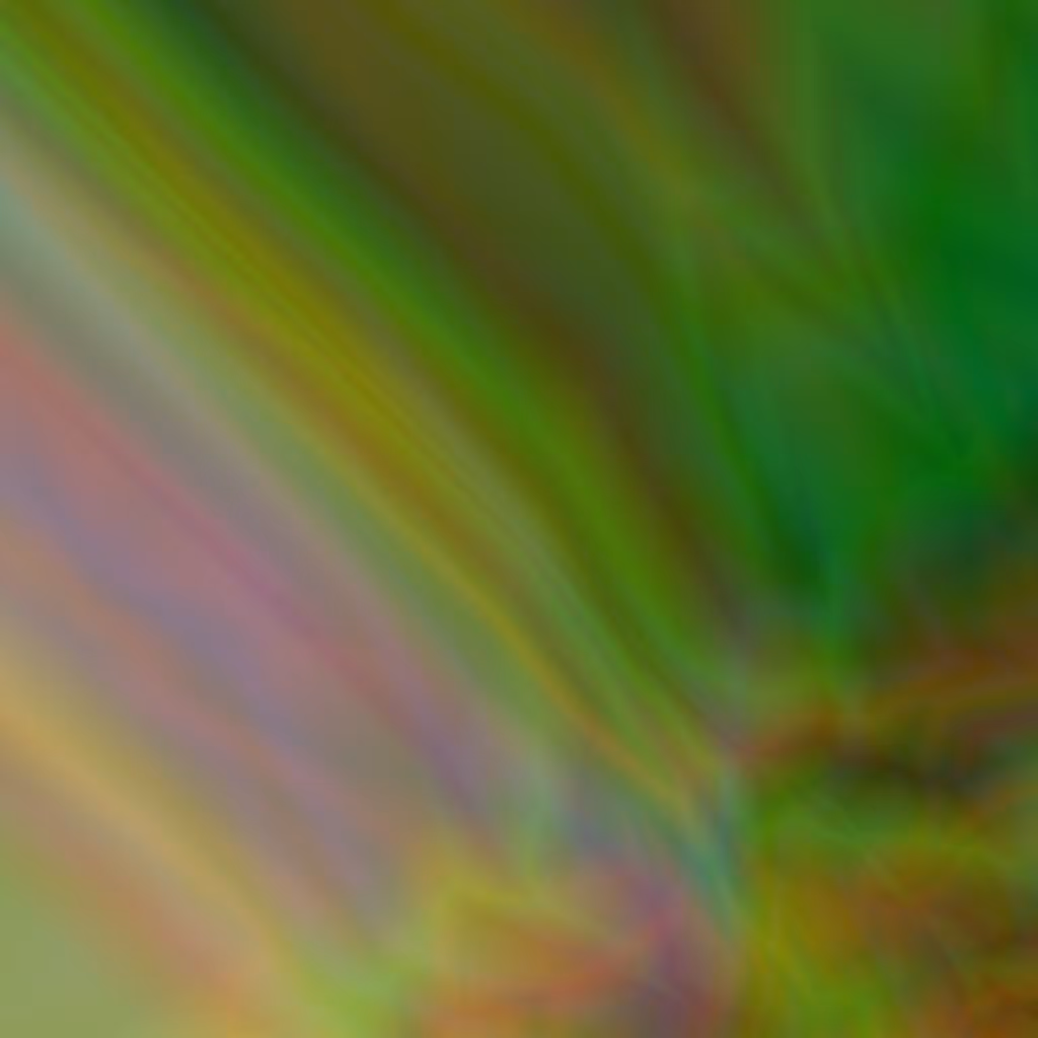Gasoline Rainbows #16