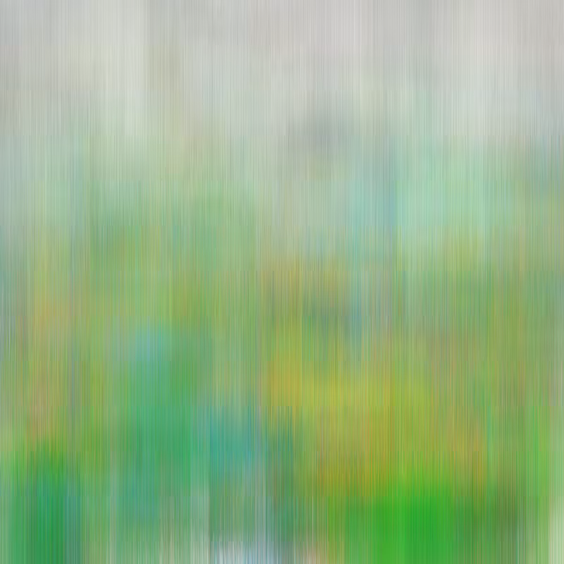 Hatch Field 001 #72