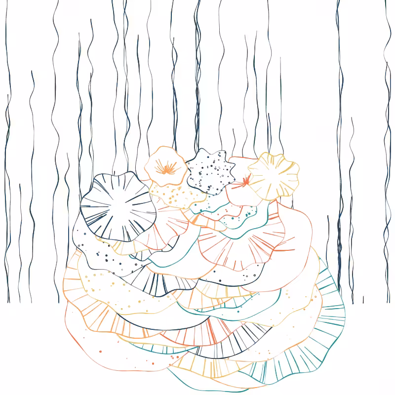 The Good Corals #7