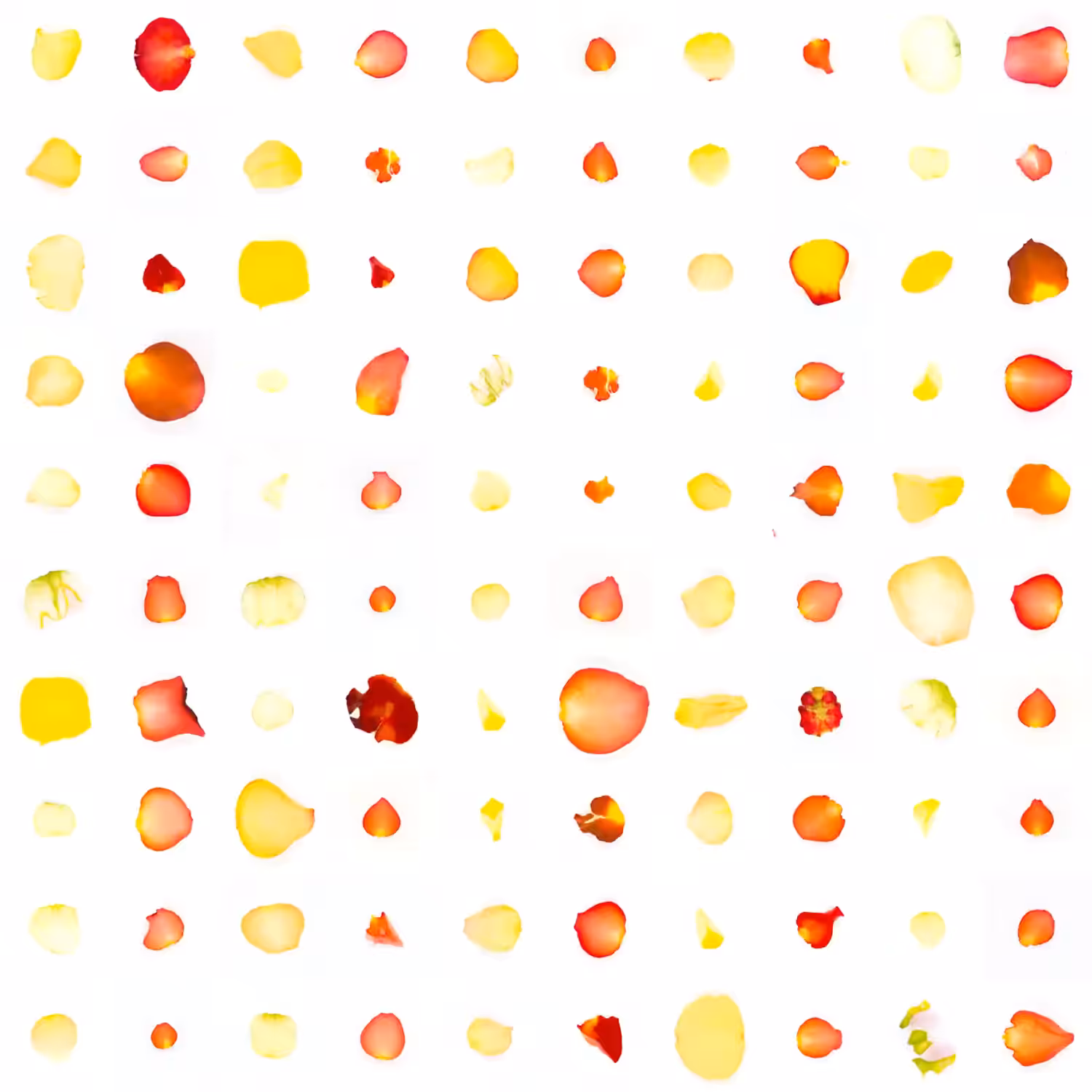 Infinite Petals 10x10#1630