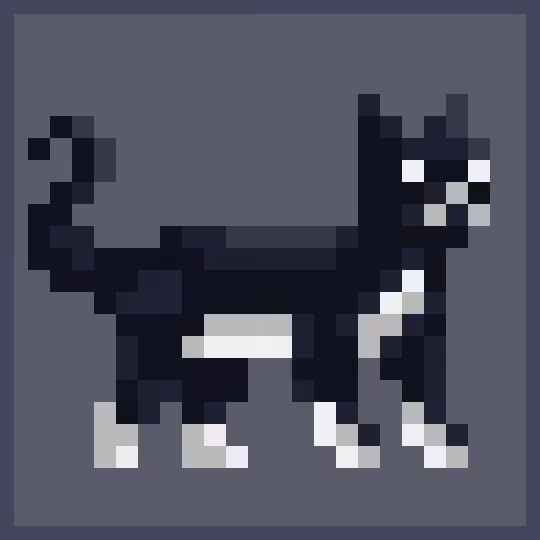 Cat#24