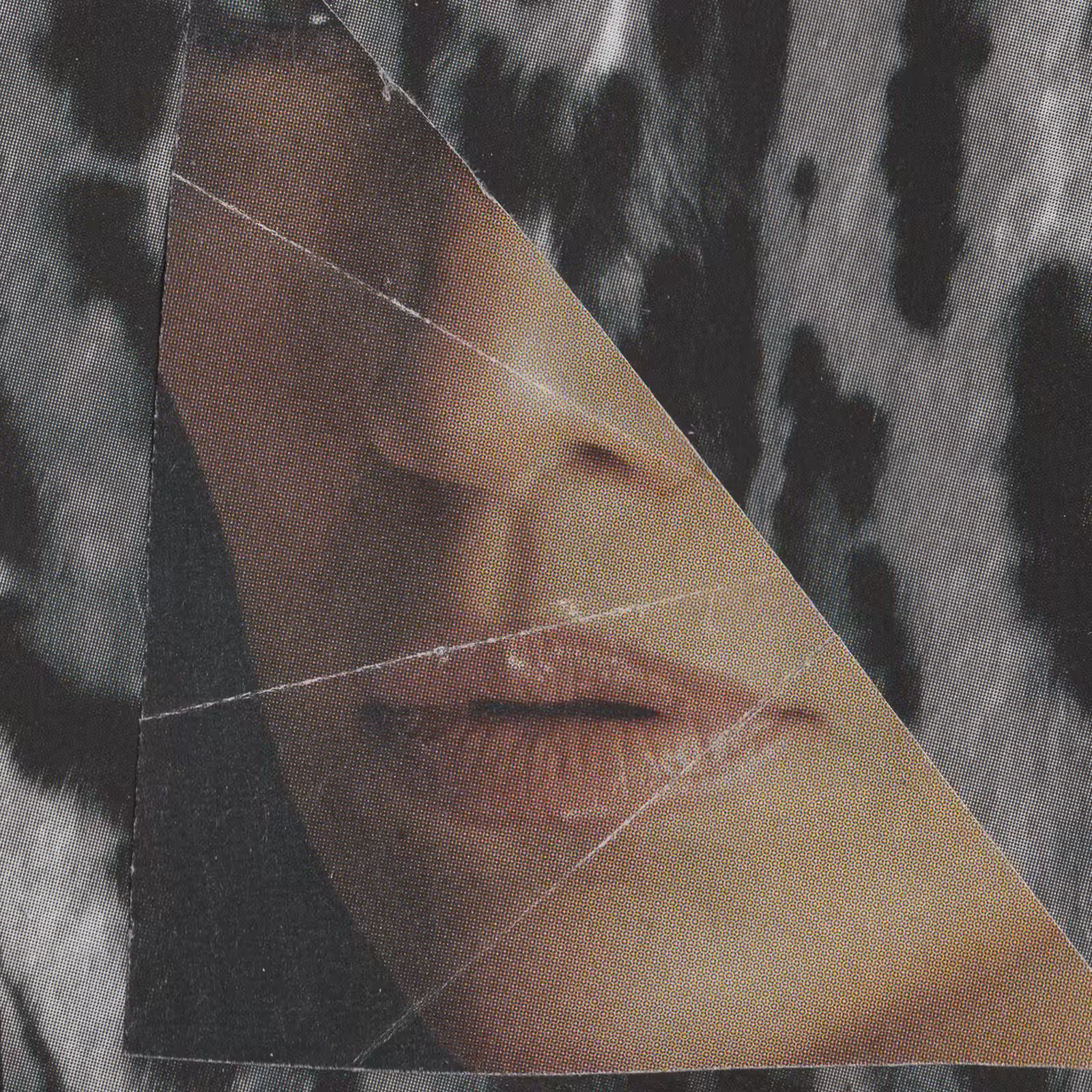 1mouth analog #38