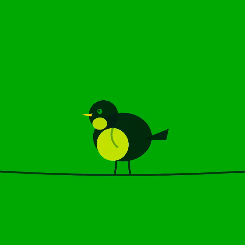 Project Robin #1668
