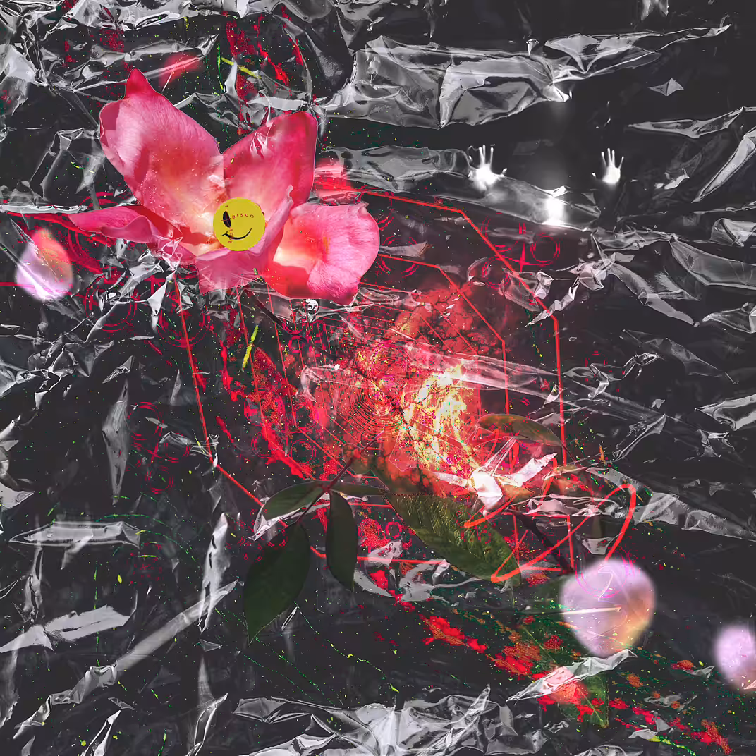FLORAL DIMENSION