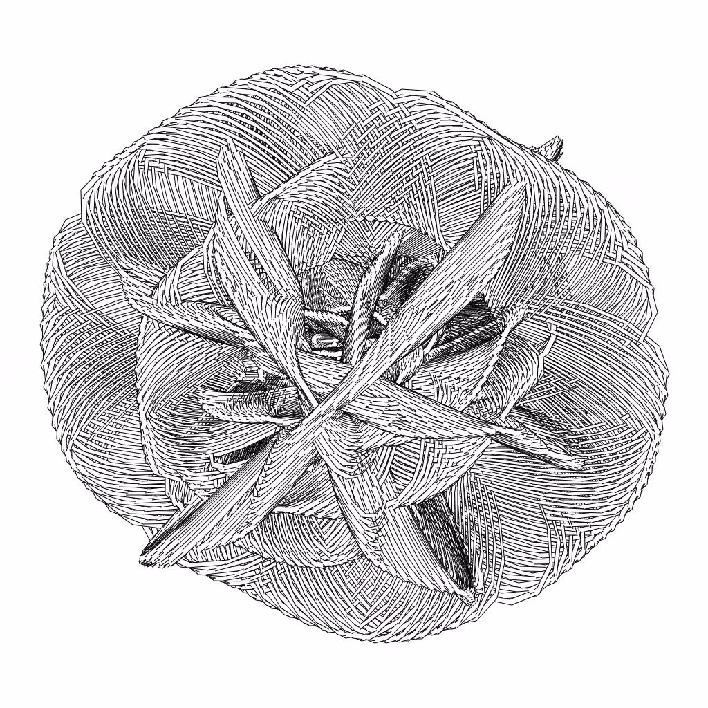 LL21 Entangled (3) #453