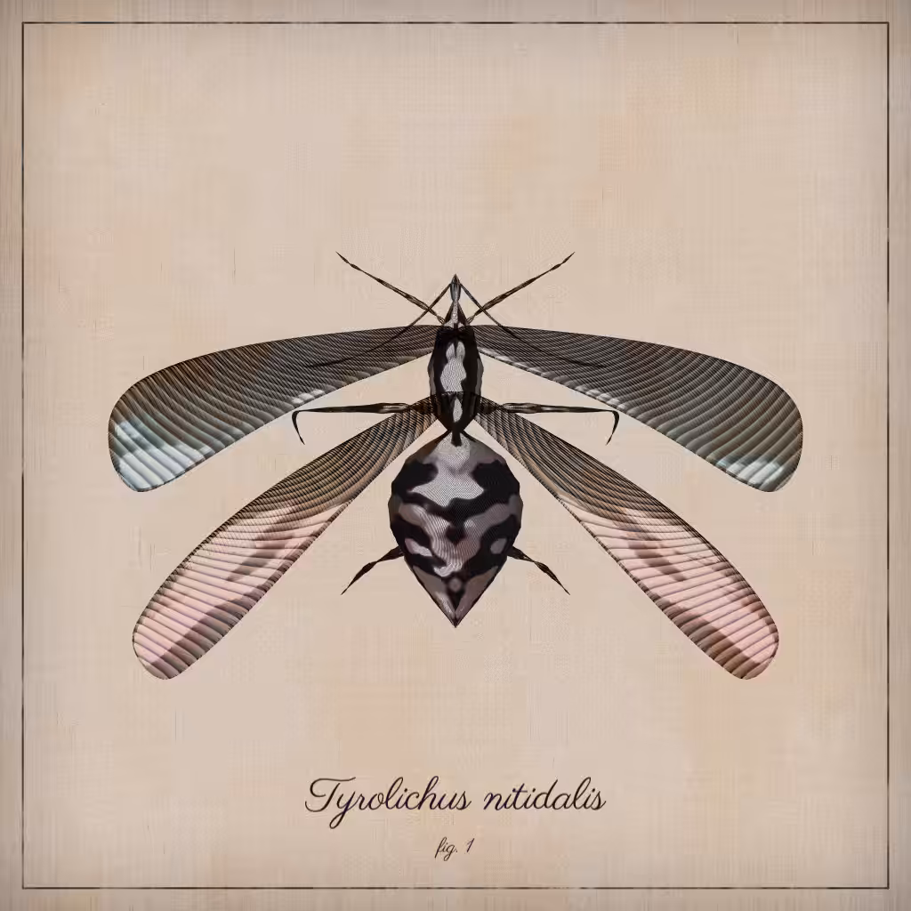 ProcGen Entomology #340