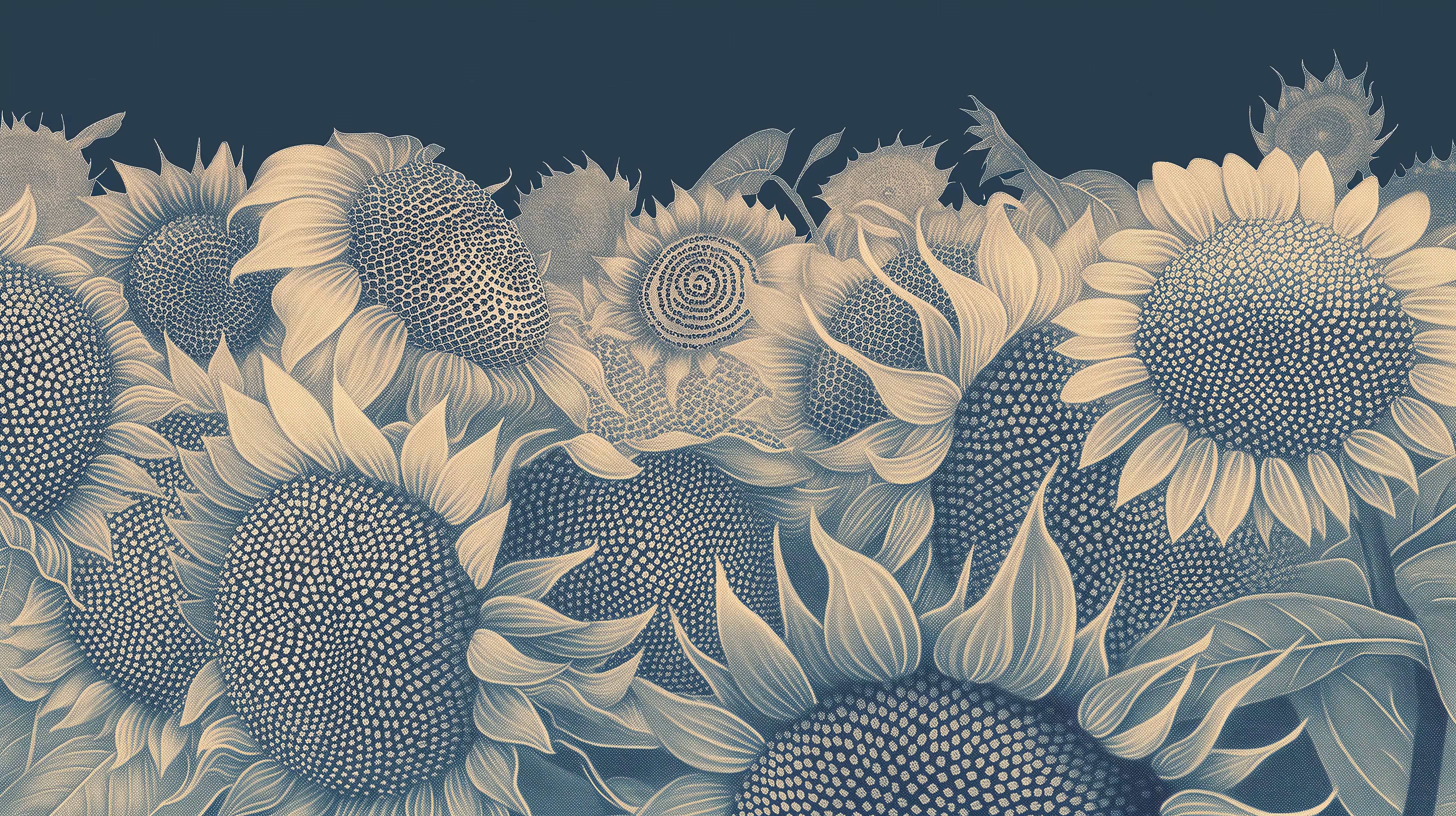 Endless Beginnings: Helianthus
