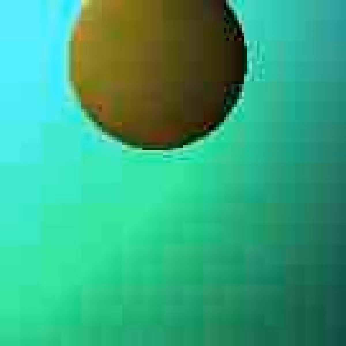 Orbit 906077259