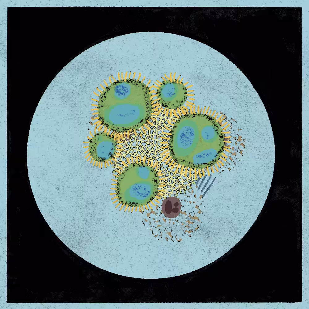 Microbes #159