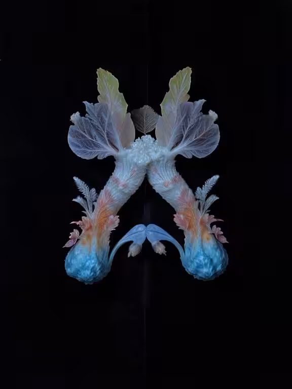 Emilia Trevisani - Crystallira Mycelios