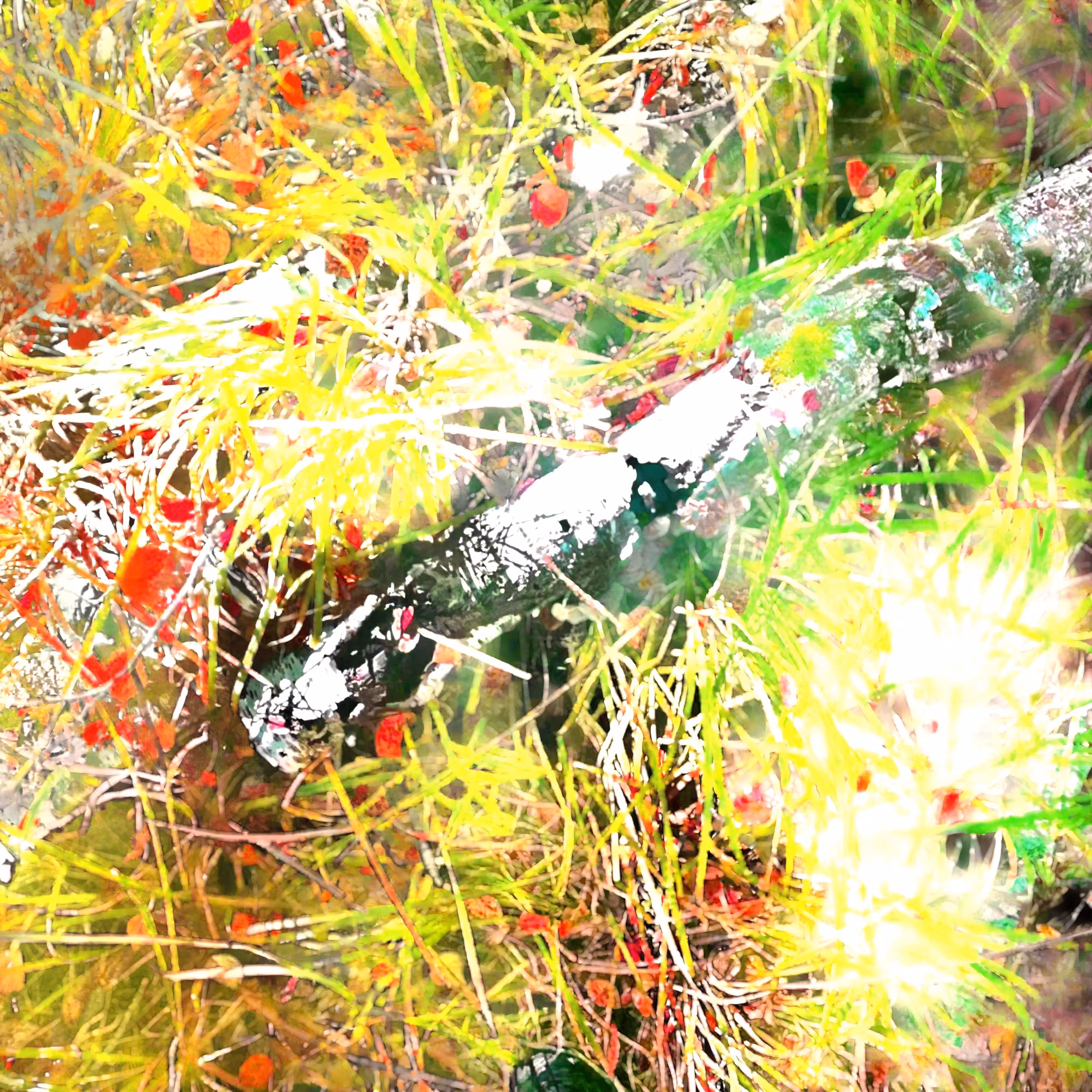 Autonomous Forest Plots: Plot u329hvhez