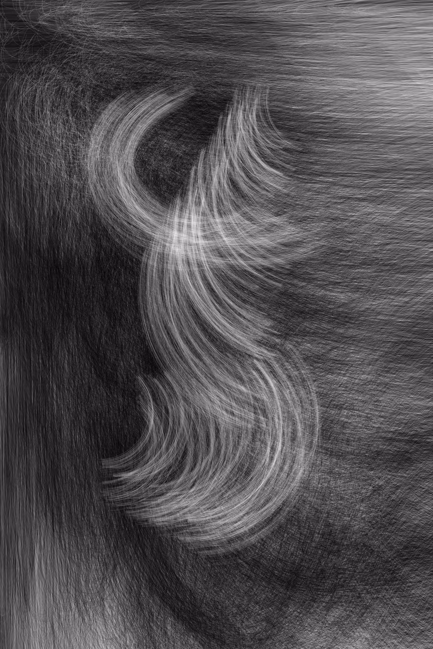 A Sketch from a Code