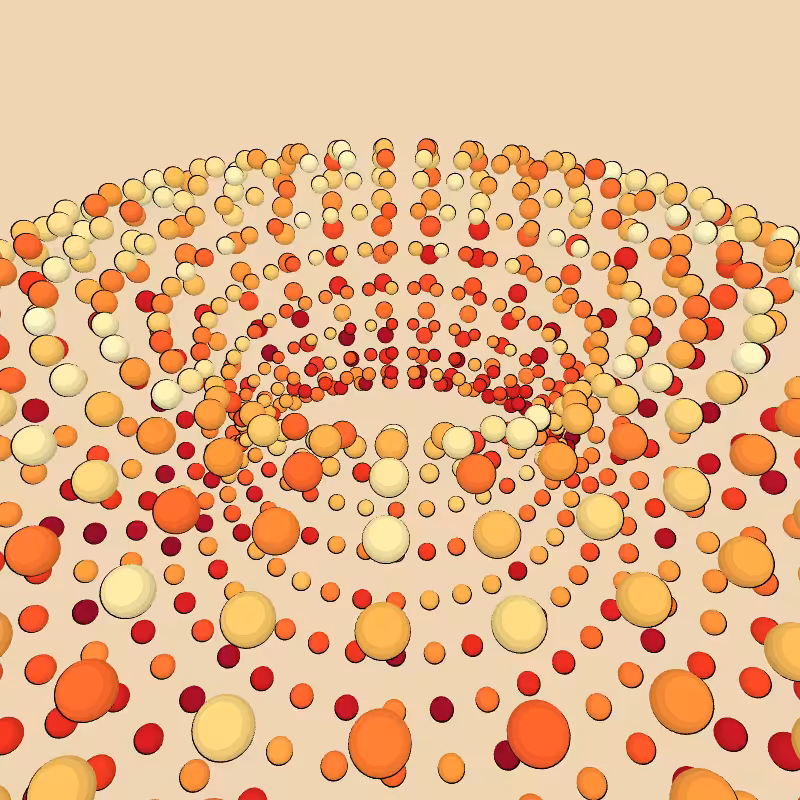 Donuts #191