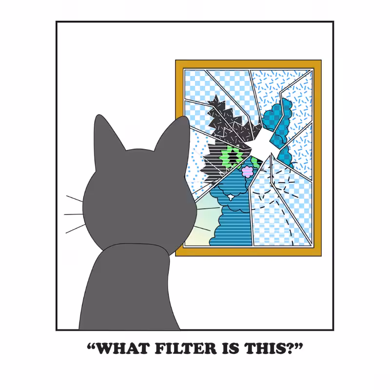 Broken Mirror #66