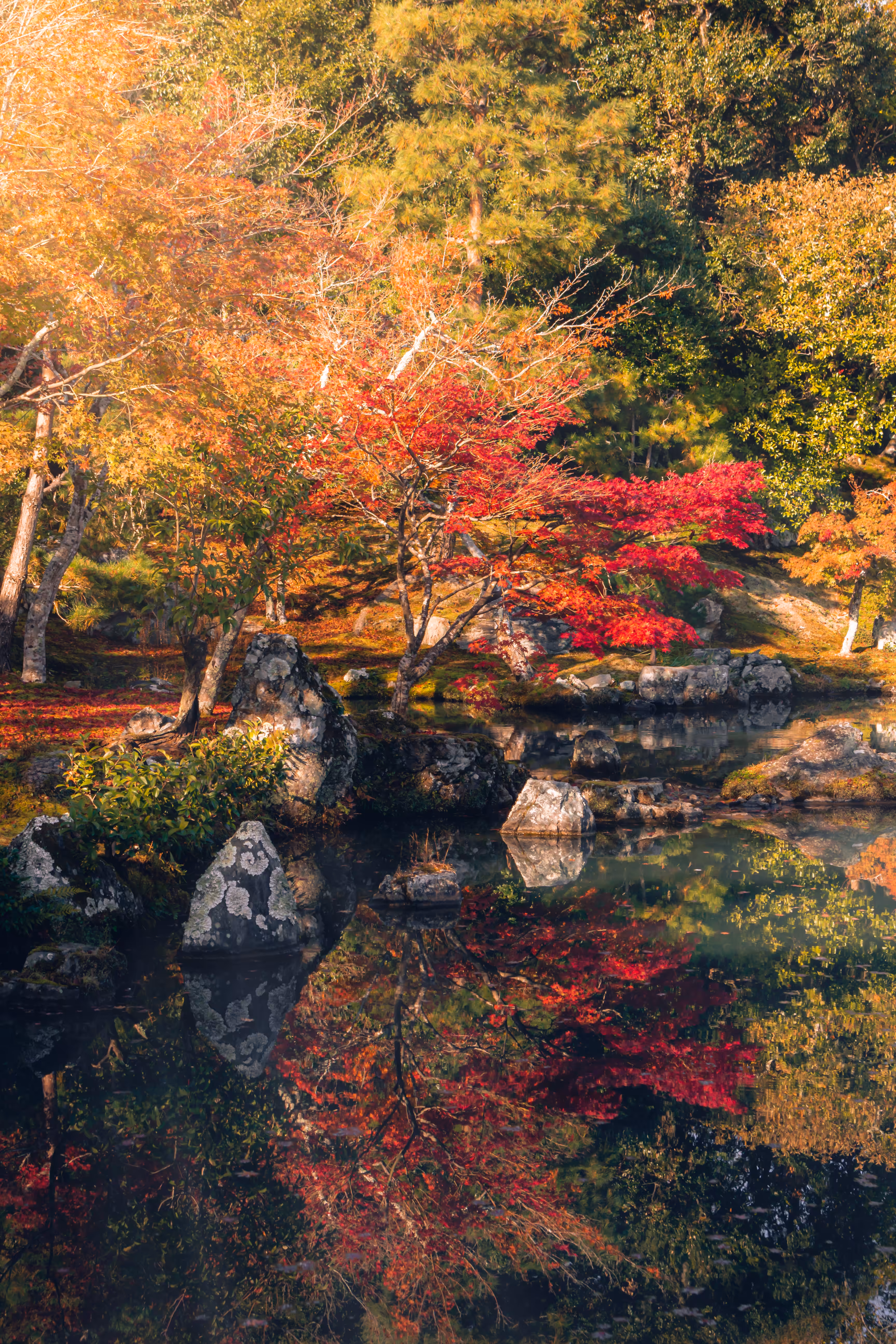 Distance Traveled 4: Arashiyama