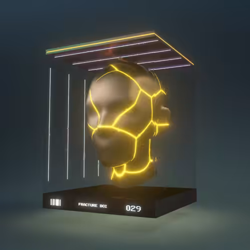 Fracture Boi: FRACTURE BOI - 029