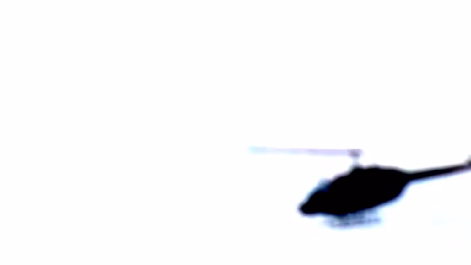 coPterfiSh 
