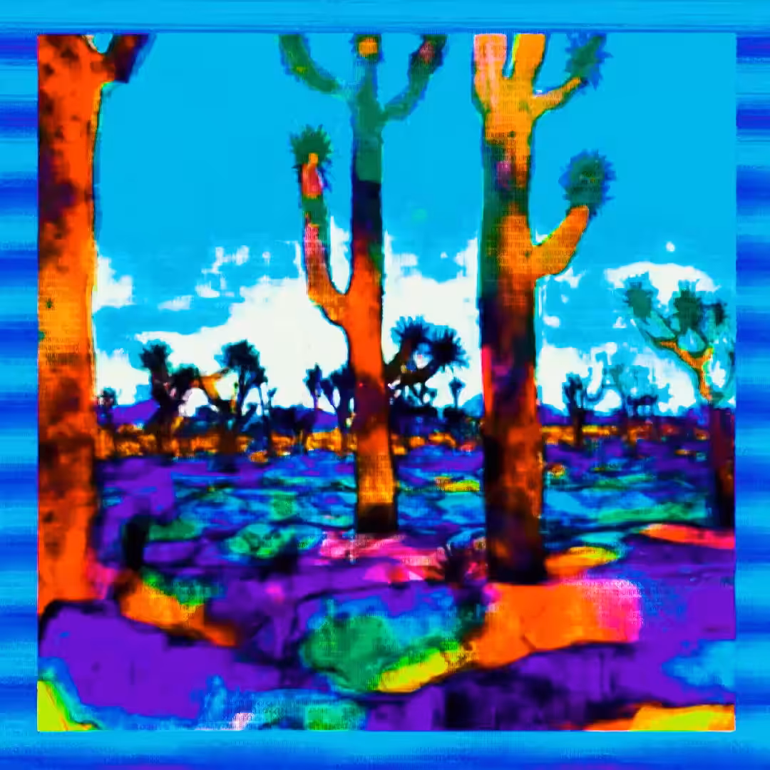 Arid Articulations #11