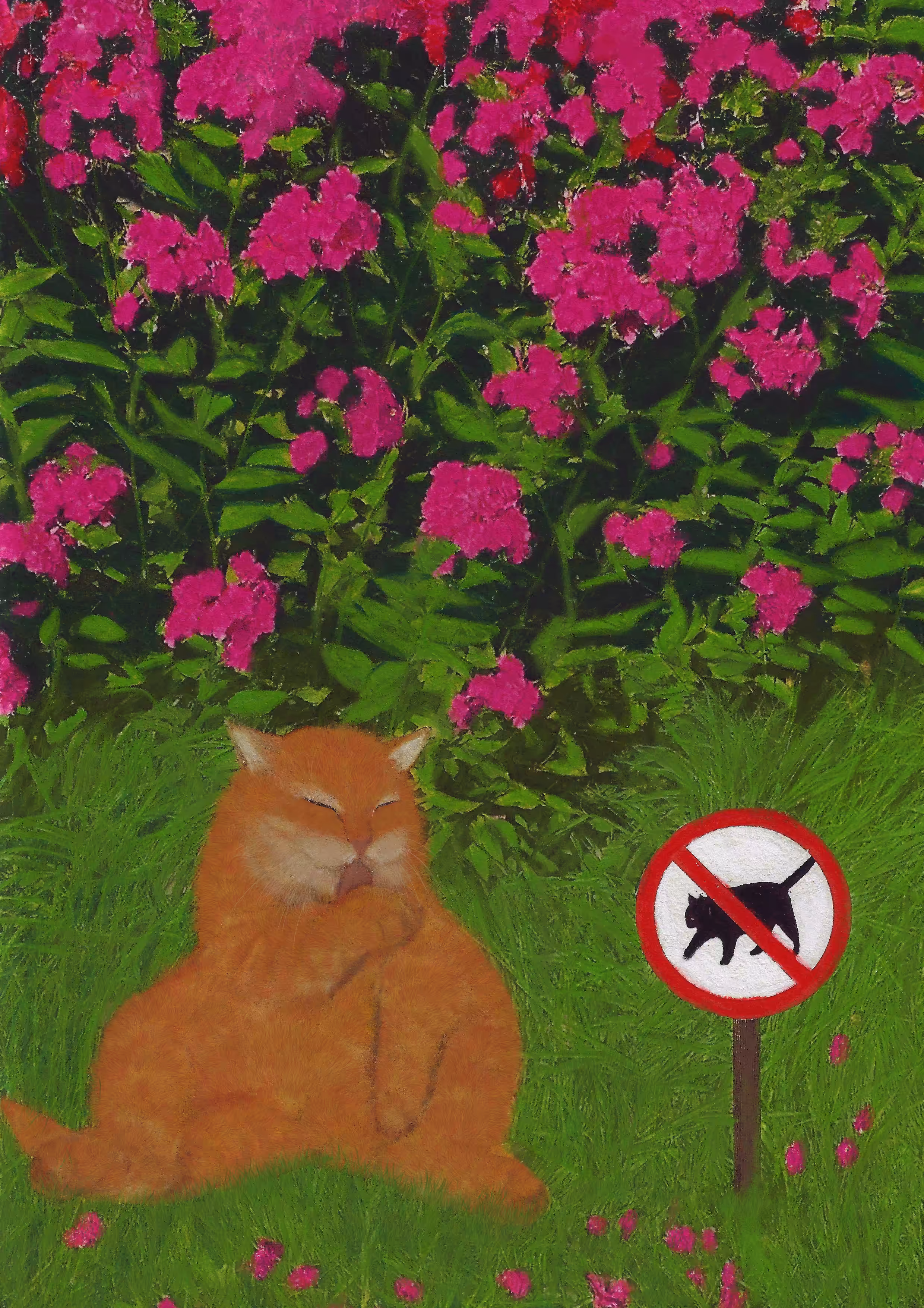 NO CATS!!!