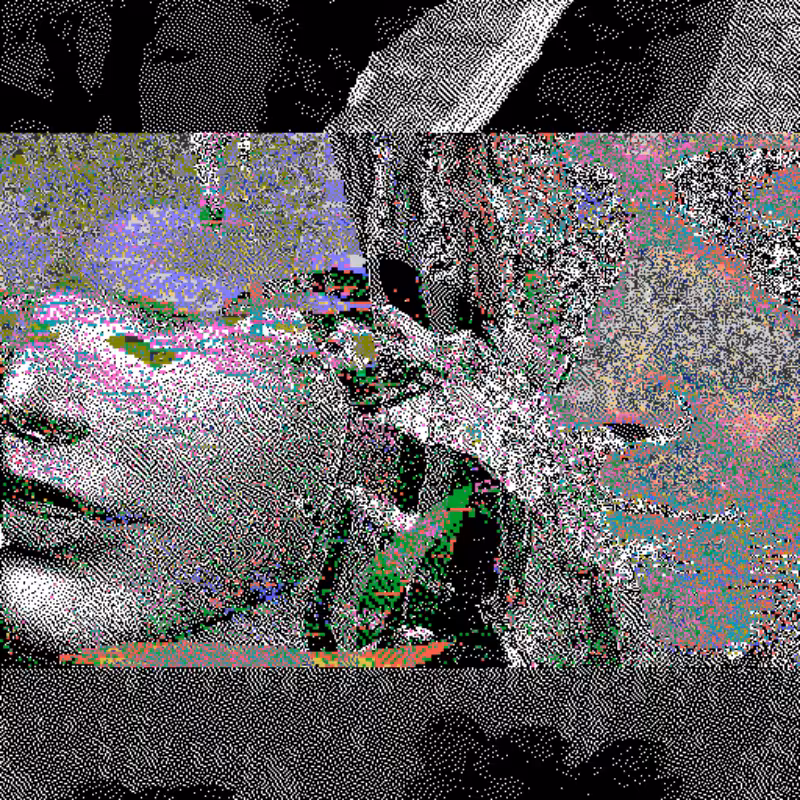 Whipped Dream #52