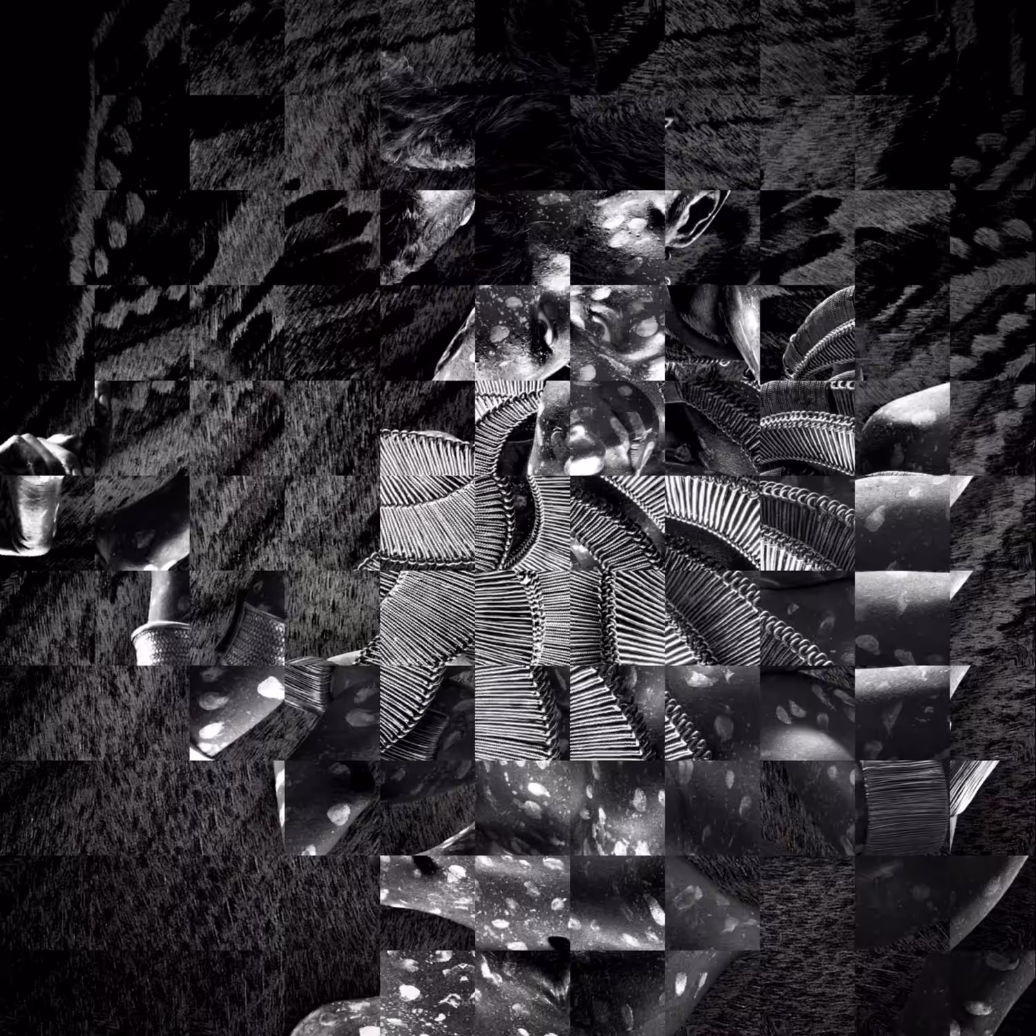Kinetic Art: “Kinetic Art.029” - Animation