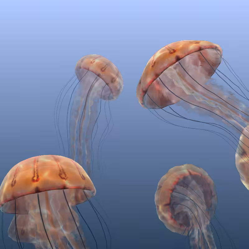 Jellyfish #9